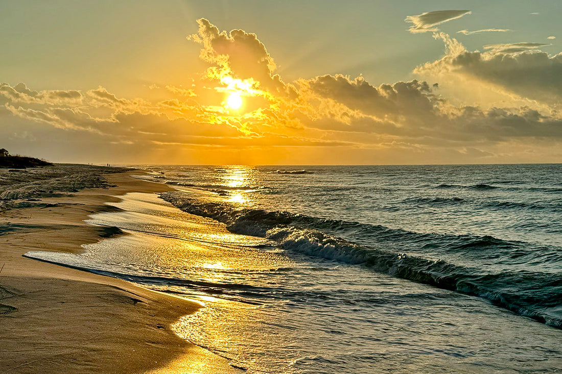 Welcome to Stephen's Spectacular Gulf Coast Shopify Store!