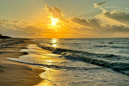 Welcome to Stephen's Spectacular Gulf Coast Shopify Store!