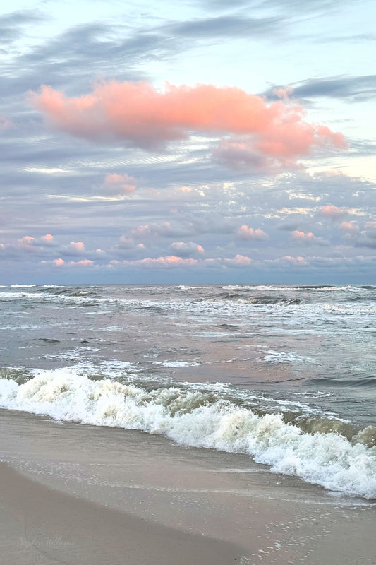 BEACHSCAPES - Pine Beach in Bon Secour National Wildlife Refuge in Fort Morgan AL