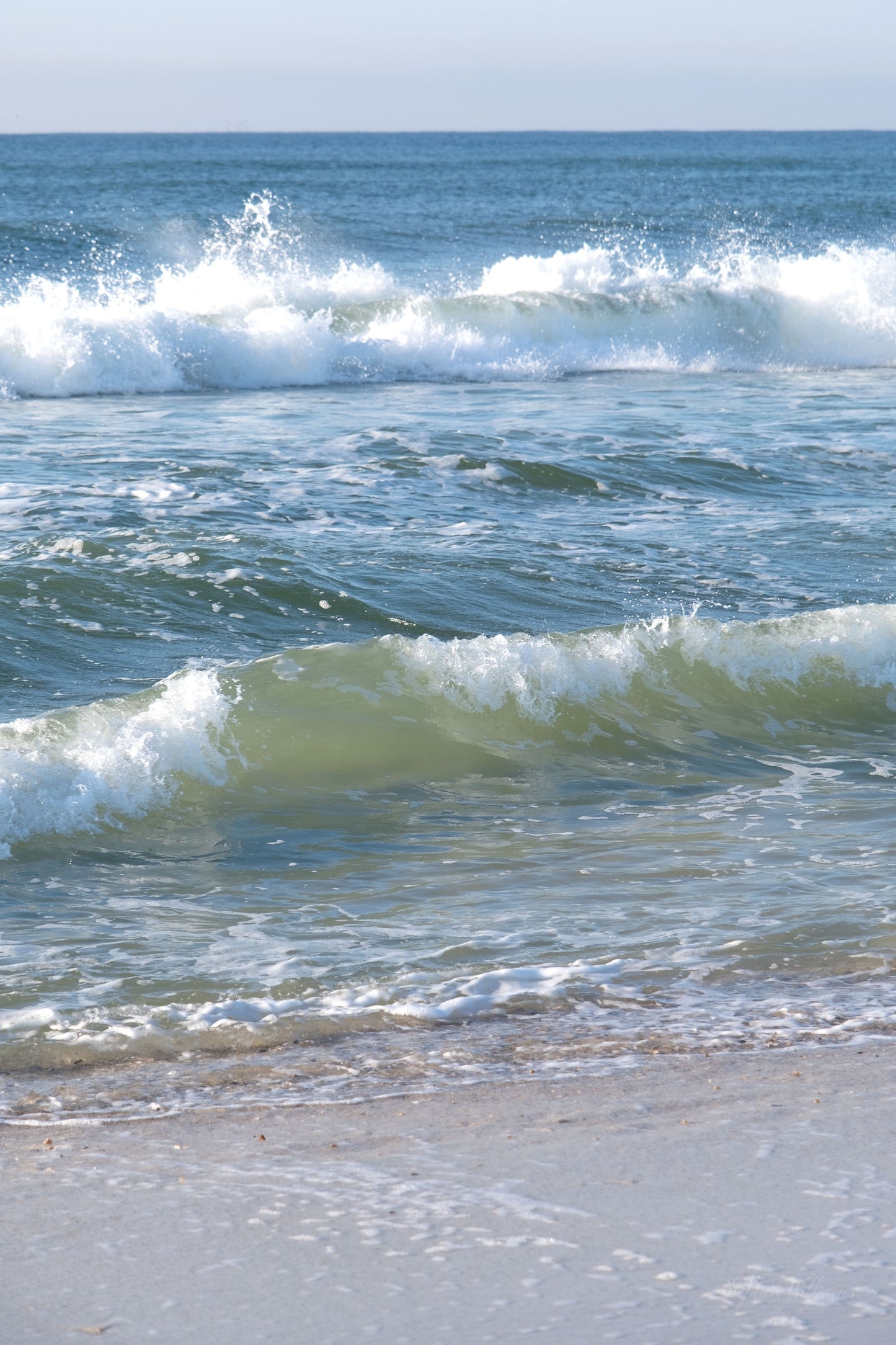 BEACHSCAPES - Pine Beach in Bon Secour National Wildlife Refuge in Fort Morgan AL