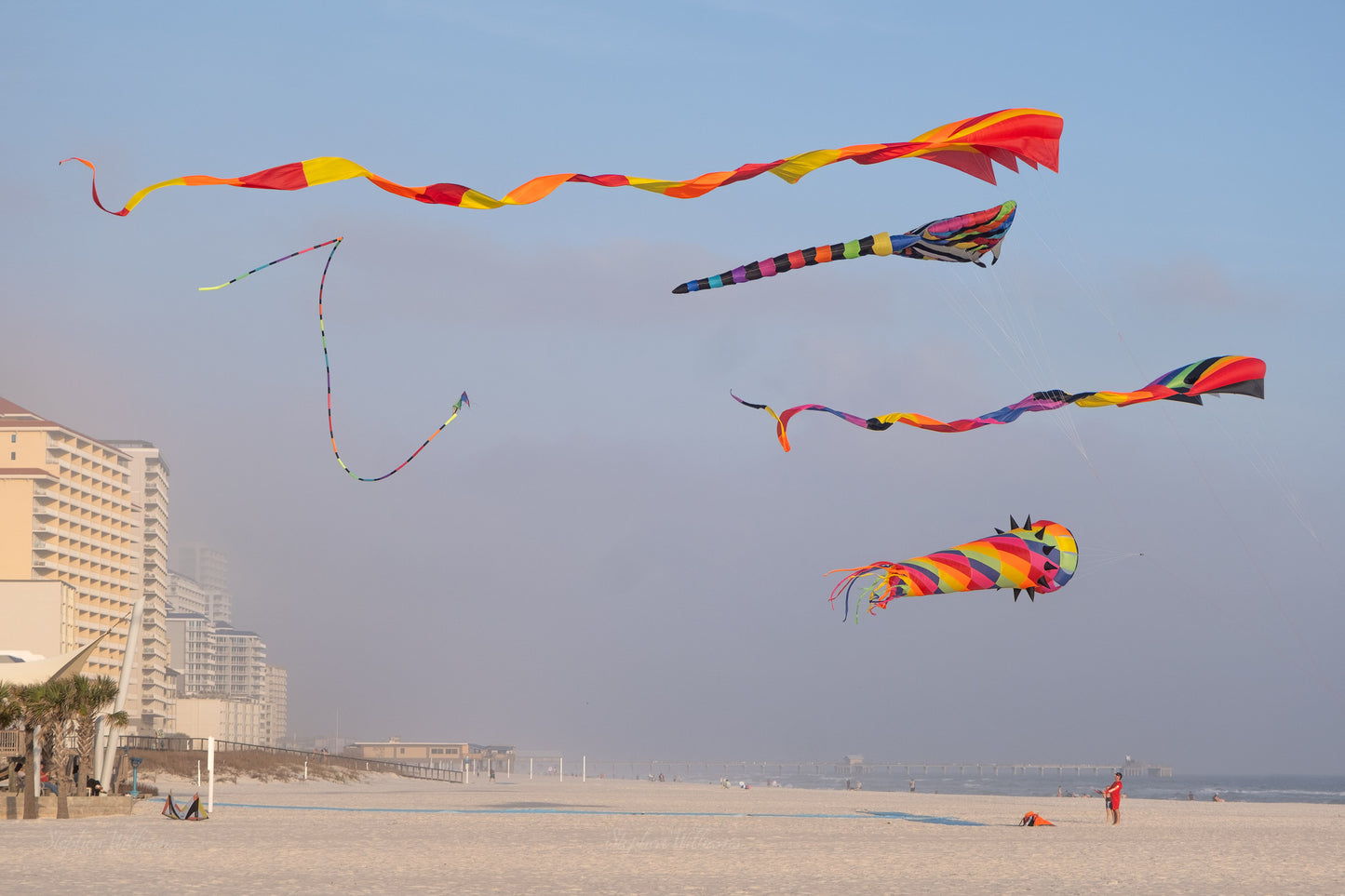PEOPLE & PETS - Windsock Kites at Gulf Shores AL Public Beach
