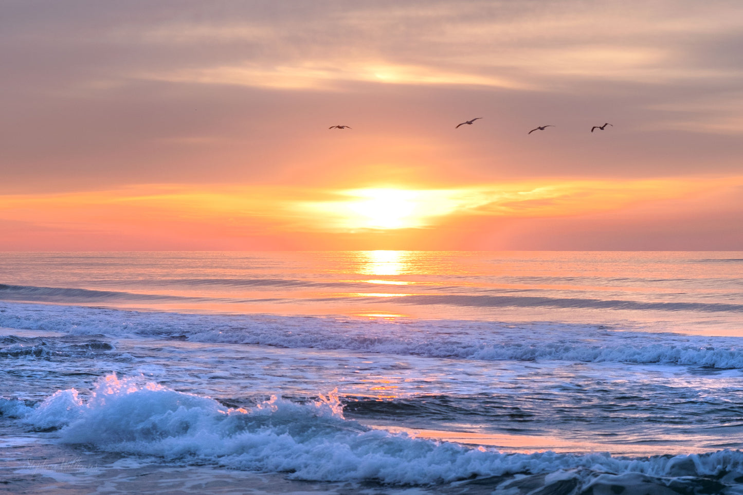 SUNRISES & SUNSETS - Sunrise at Pine Beach in Bon Secour National Wildlife Refuge in Fort Morgan AL