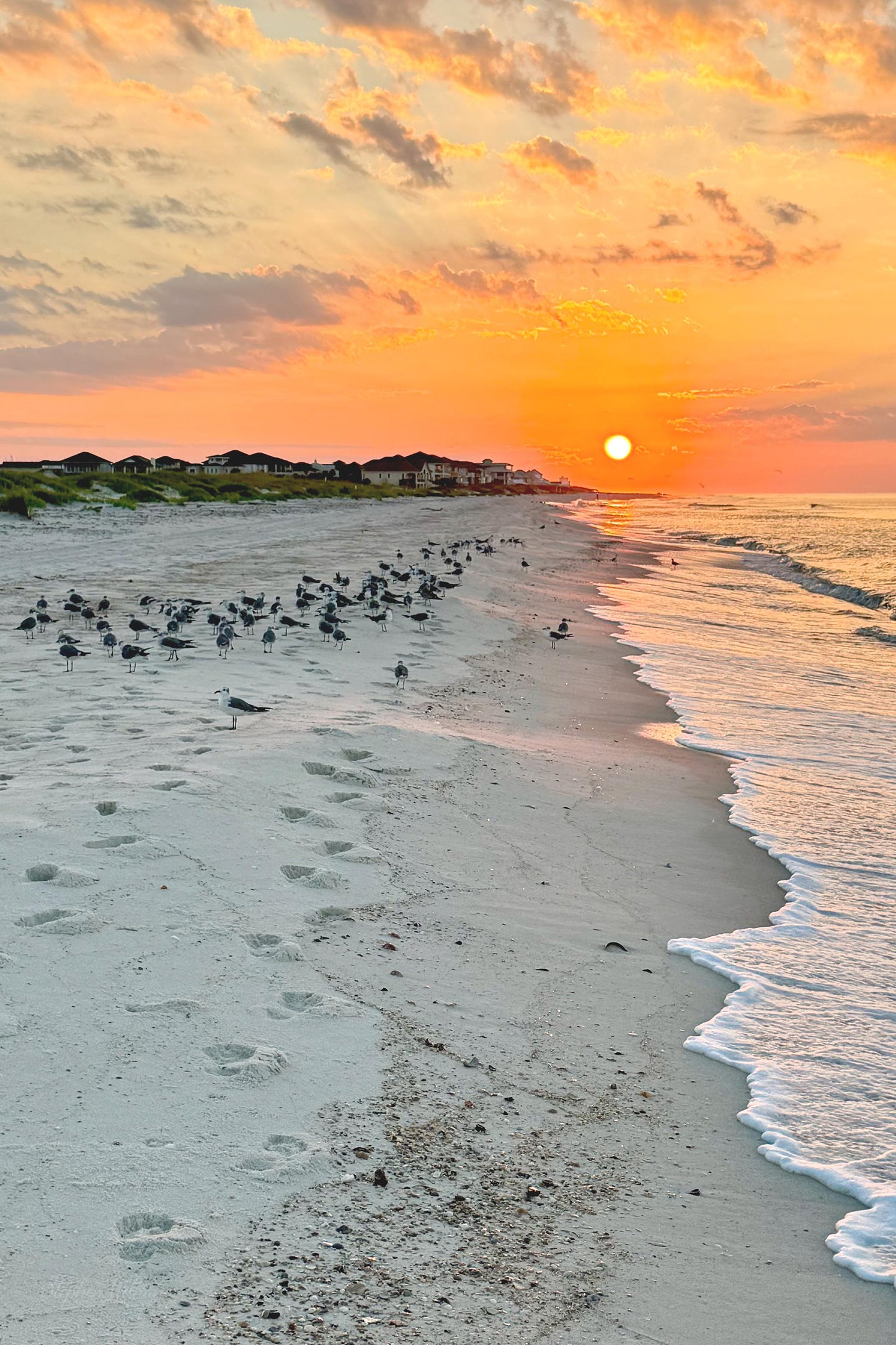 SUNRISES & SUNSETS - Sunrise at Pine Beach in Bon Secour National Wildlife Refuge in Fort Morgan AL