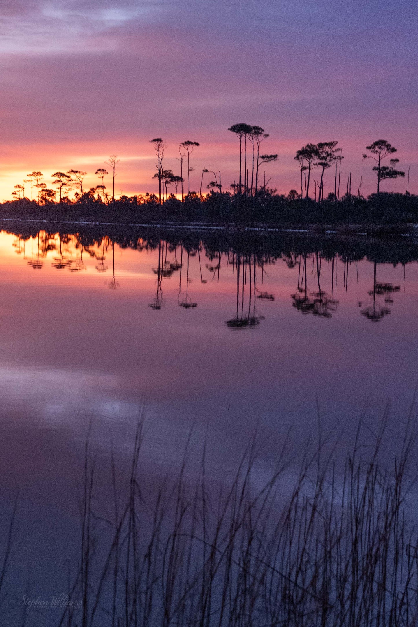 SUNRISES & SUNSETS - Sunrise at Little Lagoon in Bon Secour National Wildlife Refuge in Fort Morgan AL