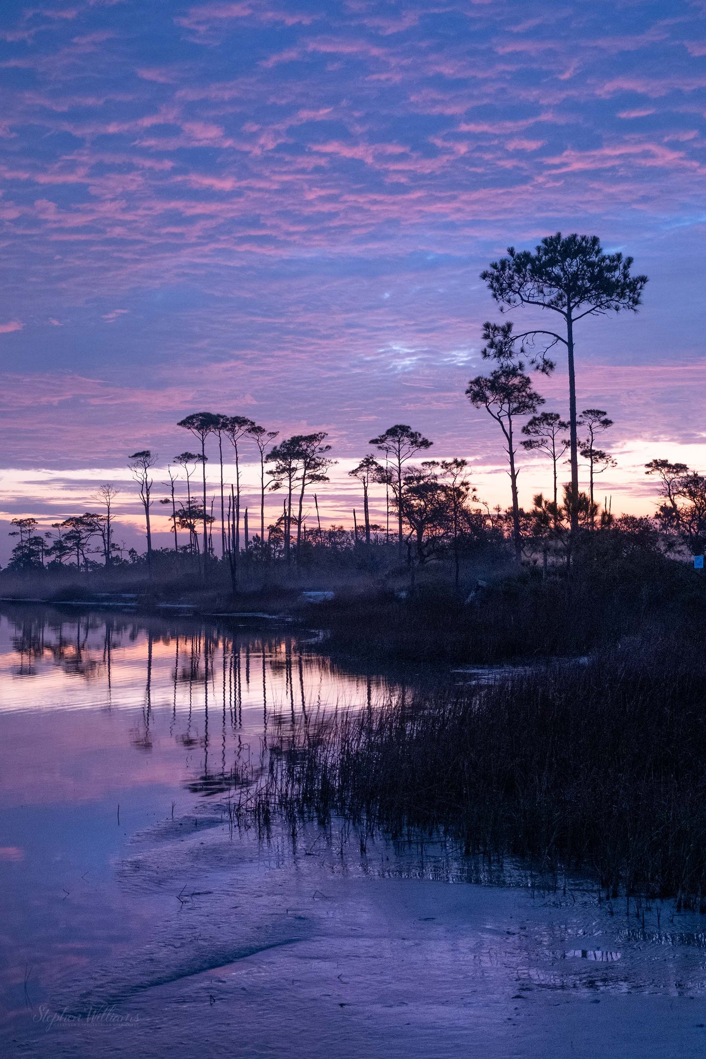SUNRISES & SUNSETS - Sunrise at Little Lagoon in Bon Secour National Wildlife Refuge in Fort Morgan AL