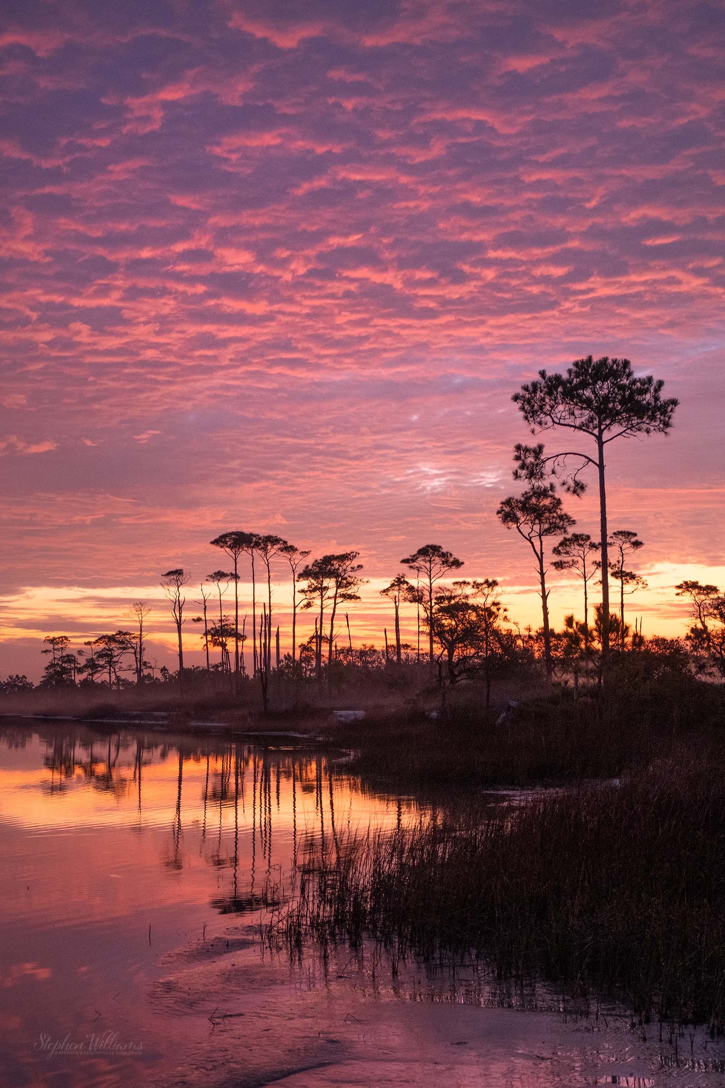 SUNRISES & SUNSETS - Sunrise at Little Lagoon in Bon Secour National Wildlife Refuge in Fort Morgan AL