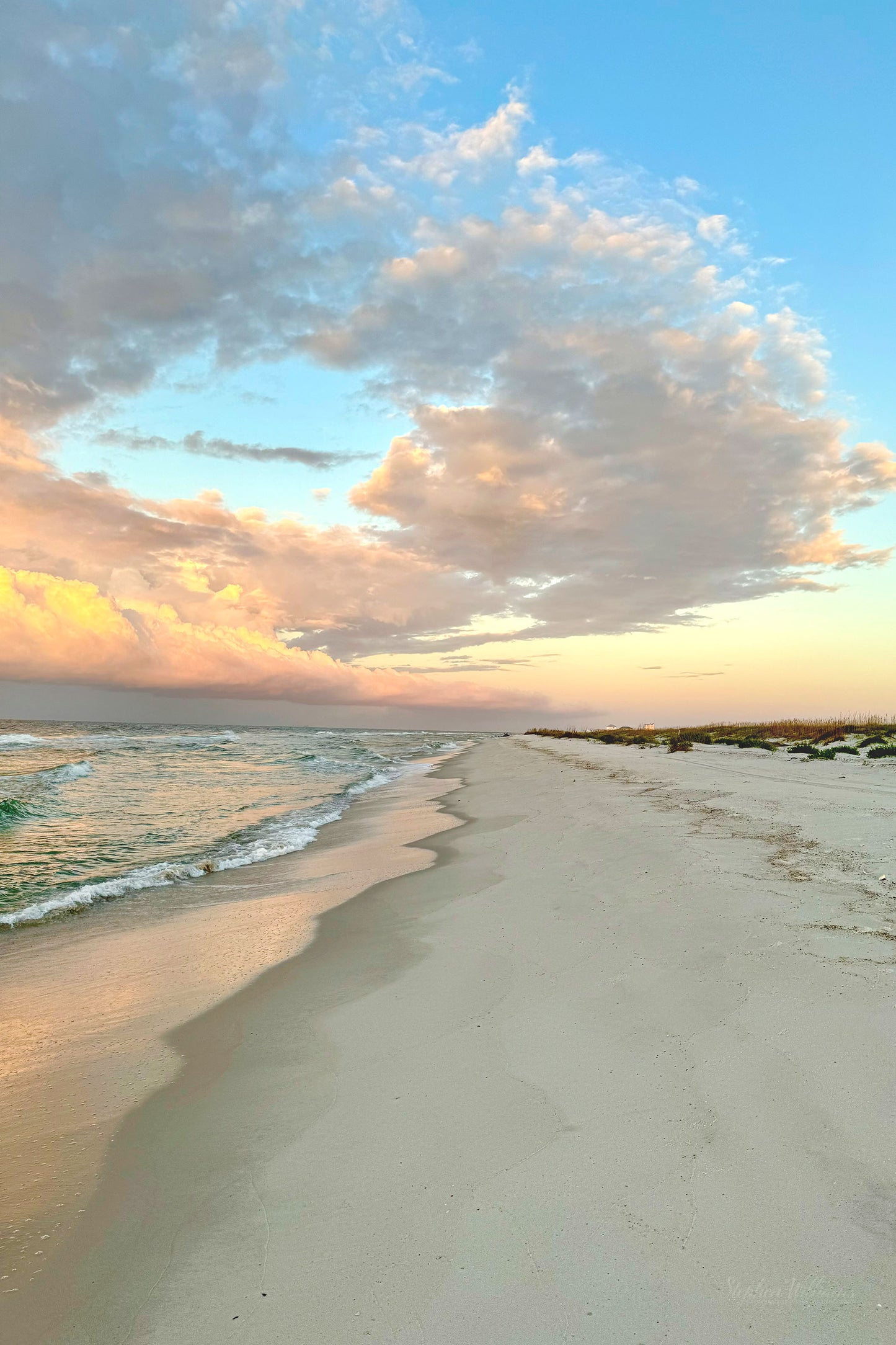BEACHSCAPES - Pine Beach in Bon Secour National Wildlife Refuge in Fort Morgan AL