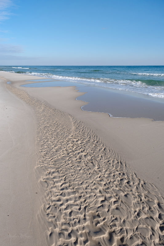 BEACHSCAPES - Pine Beach in Bon Secour National Wildlife Refuge in Fort Morgan AL