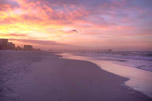 DESTINATIONS / Fort Walton Beach FL - Fishing and Sightseeing Pier at Okaloosa Island in Fort Walton Beach