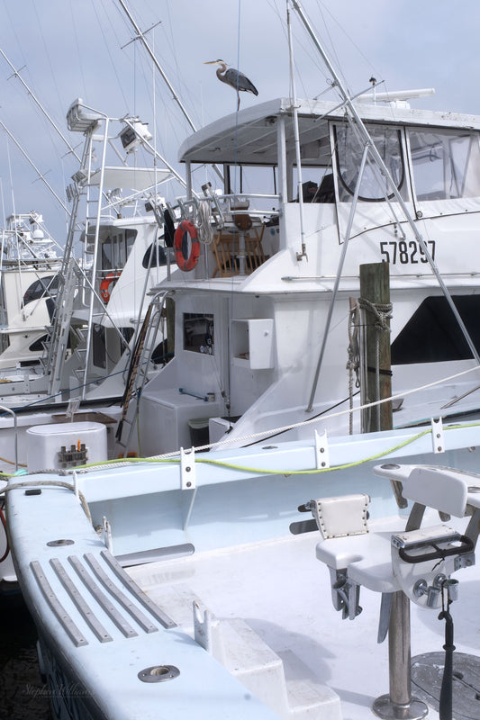 DESTINATIONS / Destin FL - Charter Fishing Boat in Destin Harbor
