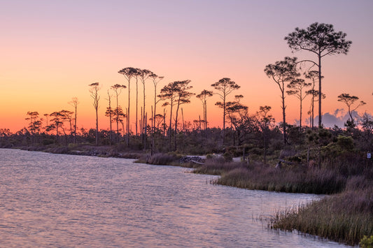 LANDSCAPES - Little Lagoon in Bon Secour National Wildlife Refuge in Fort Morgan AL