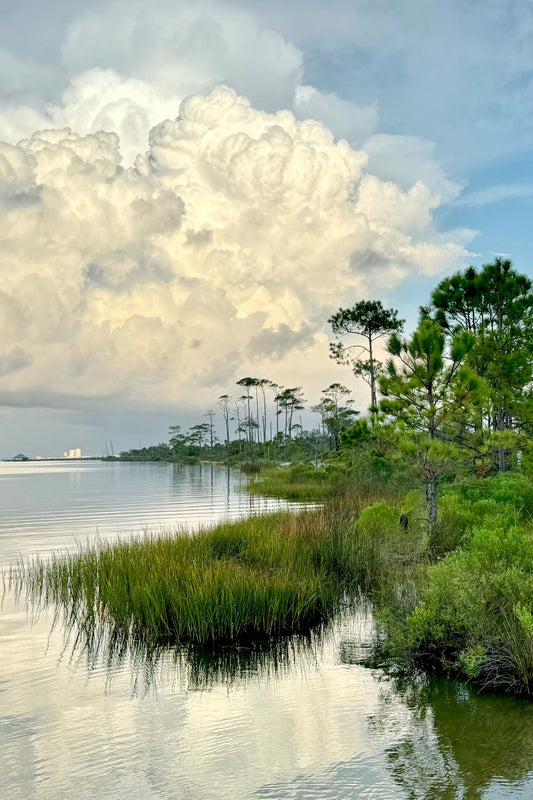 LANDSCAPES - Little Lagoon in Bon Secour National Wildlife Refuge in Fort Morgan AL