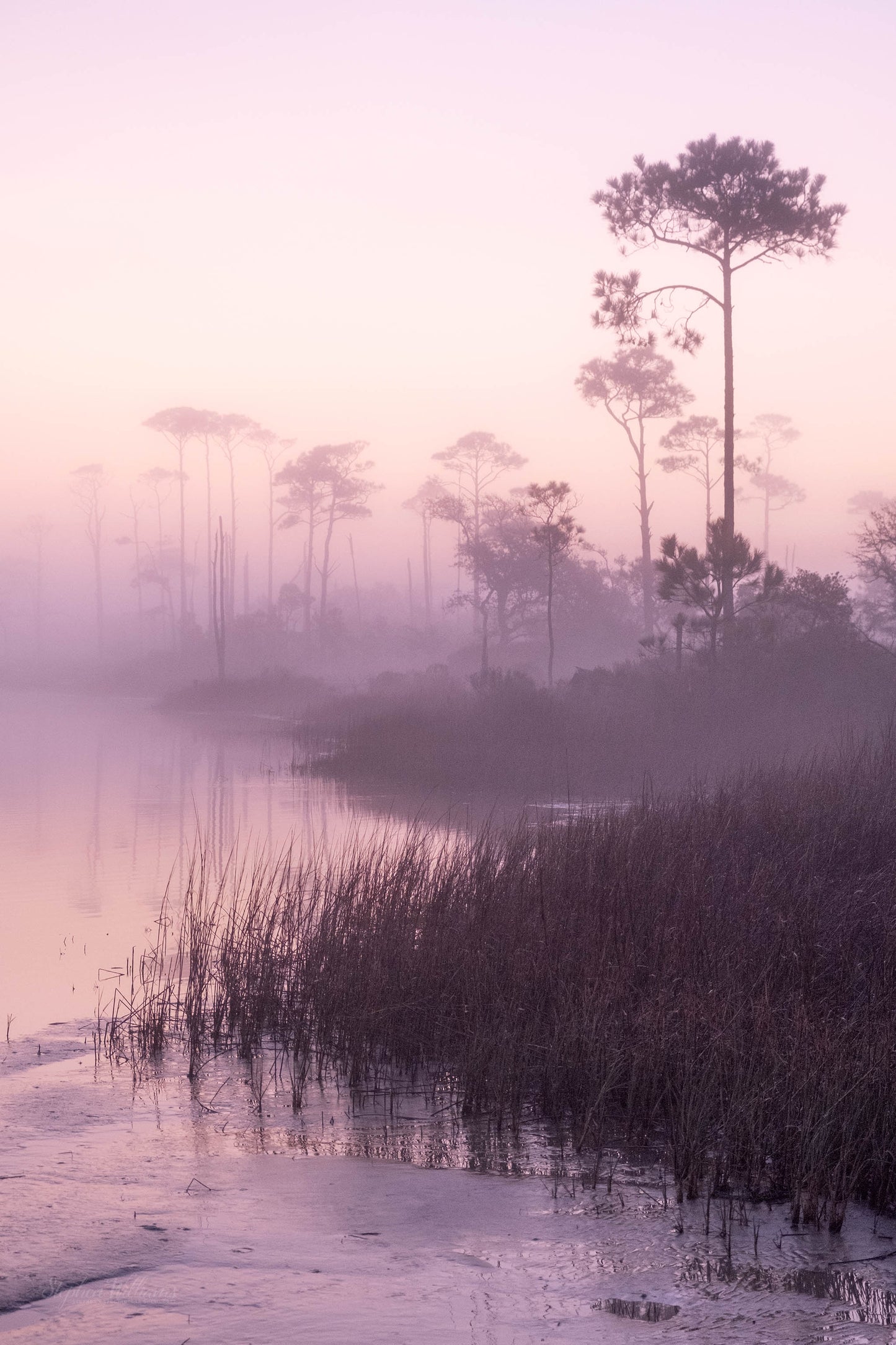 LANDSCAPES - Little Lagoon in Bon Secour National Wildlife Refuge in Fort Morgan AL