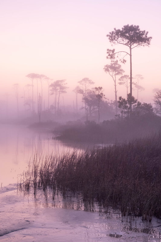 LANDSCAPES - Little Lagoon in Bon Secour National Wildlife Refuge in Fort Morgan AL