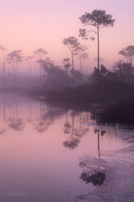 LANDSCAPES - Little Lagoon in Bon Secour National Wildlife Refuge in Fort Morgan AL