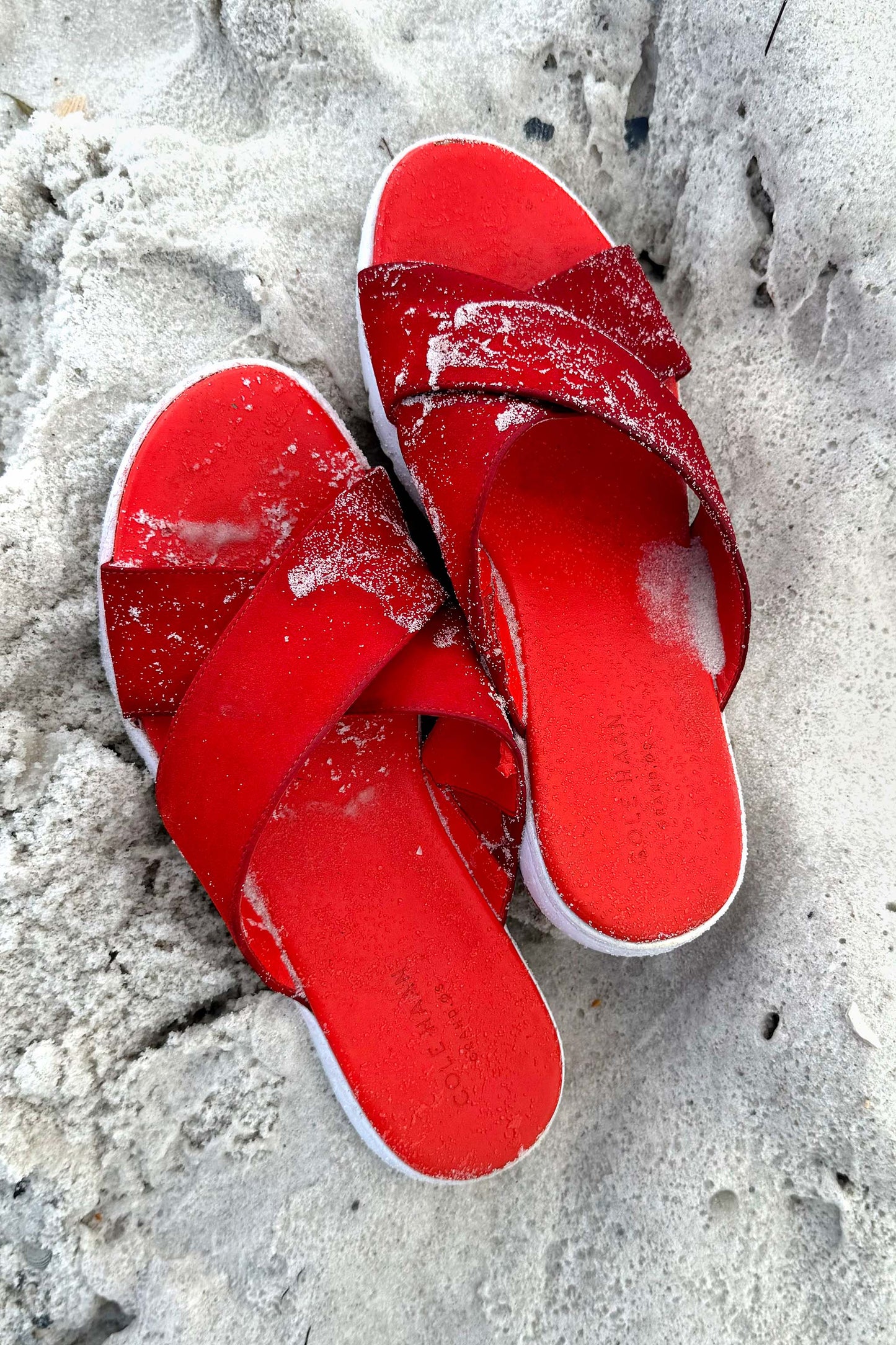 PEOPLE & PETS - Dorothy's Ruby Red Beach Slippers