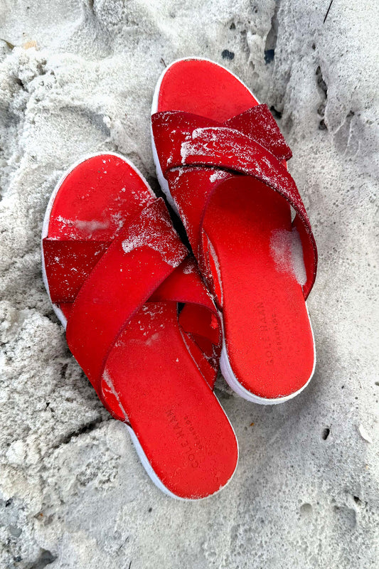 PEOPLE & PETS - Dorothy's Ruby Red Beach Slippers