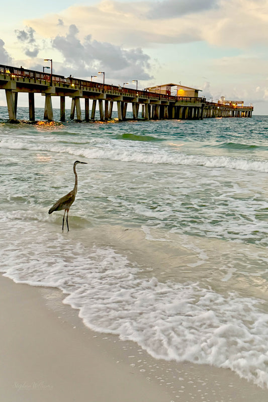 STRUCTURES - Gulf State Park Fishing and Sightseeing Pier between Gulf Shores AL and Orange Beach AL