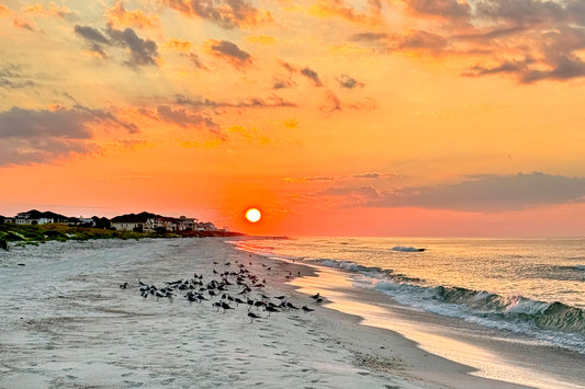 SUNRISES & SUNSETS - Sunrise at Pine Beach in Bon Secour National Wildlife Refuge in Fort Morgan AL