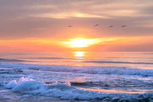 SUNRISES & SUNSETS - Sunrise at Pine Beach in Bon Secour National Wildlife Refuge in Fort Morgan AL
