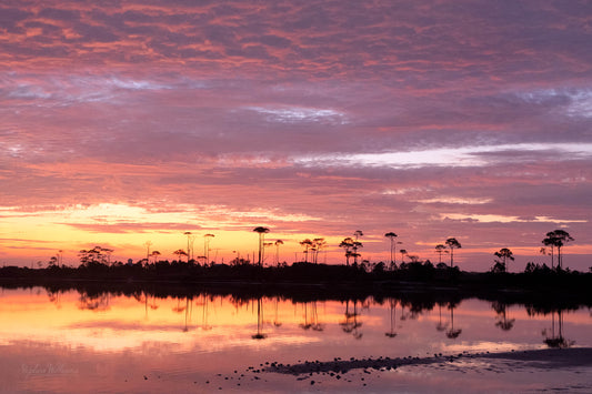 SUNRISES & SUNSETS - Sunrise at Little Lagoon in Bon Secour National Wildlife Refuge in Fort Morgan AL