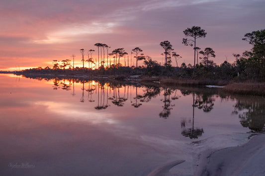 SUNRISES & SUNSETS - Sunrise at Little Lagoon in Bon Secour National Wildlife Refuge in Fort Morgan AL