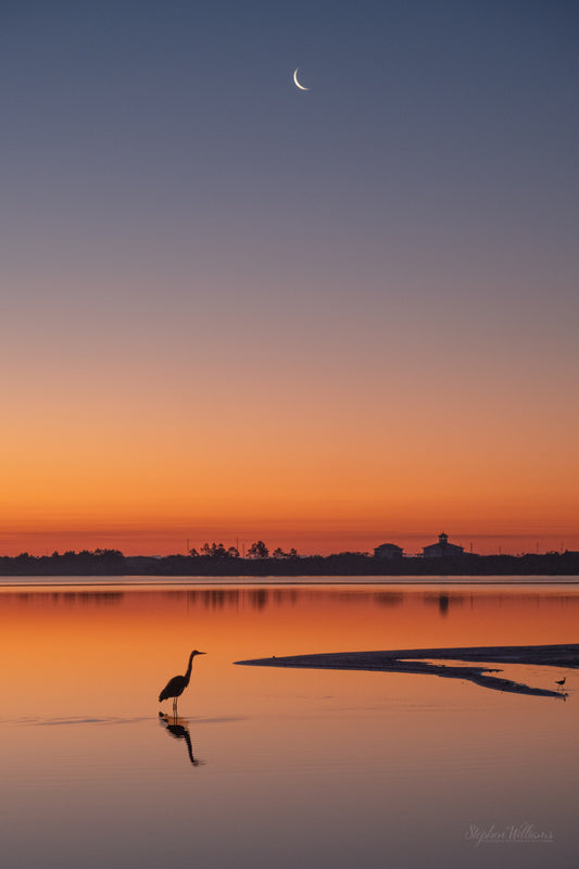 SUNRISES & SUNSETS - Sunrise at Little Lagoon in Bon Secour National Wildlife Refuge in Fort Morgan AL